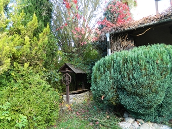 Studna s užitkovou vodou. - Prodej chaty / chalupy 76 m², Cheb