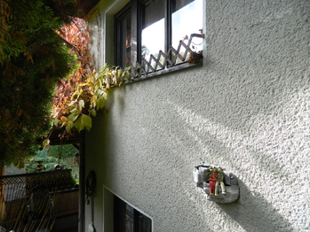 Boční zeď s brizolitovou omítkou. - Prodej chaty / chalupy 76 m², Cheb