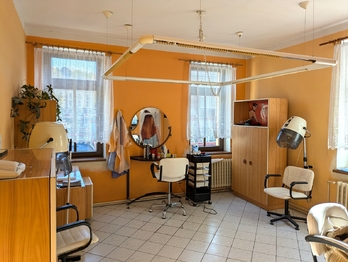 Prodej obchodních prostor 336 m², Ústí nad Labem