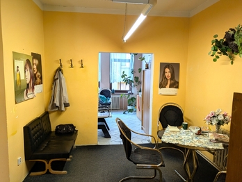 Prodej obchodních prostor 336 m², Ústí nad Labem