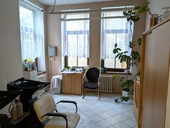 Prodej obchodních prostor 336 m², Ústí nad Labem
