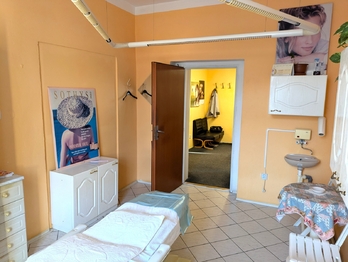 Prodej obchodních prostor 336 m², Ústí nad Labem