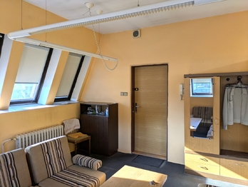 Prodej obchodních prostor 336 m², Ústí nad Labem
