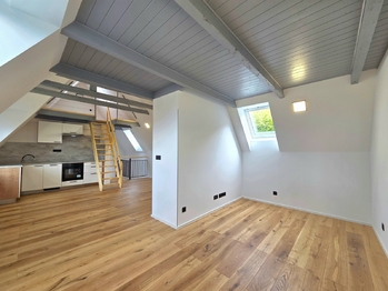 Pronájem bytu 2+kk v osobním vlastnictví 85 m², Všenory