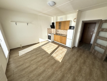 Prodej bytu 1+kk v osobním vlastnictví 27 m², Plzeň