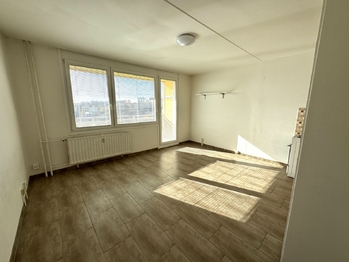 Prodej bytu 1+kk v osobním vlastnictví 27 m², Plzeň