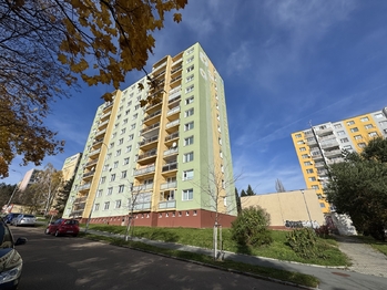 Prodej bytu 1+kk v osobním vlastnictví 27 m², Plzeň