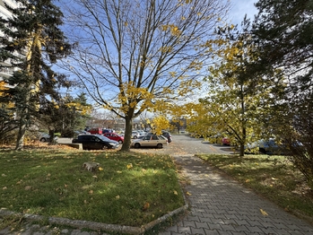 Prodej bytu 1+kk v osobním vlastnictví 27 m², Plzeň