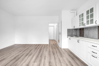 Pronájem bytu 1+kk v osobním vlastnictví 28 m², Milovice