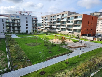 Pronájem bytu 2+kk v osobním vlastnictví 64 m², Praha 3 - Žižkov