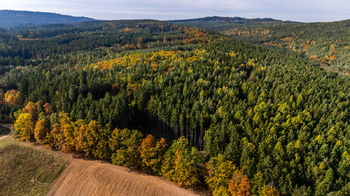 23. Okolí chaty z ptačí perspektivy - Prodej chaty / chalupy 85 m², Zbiroh