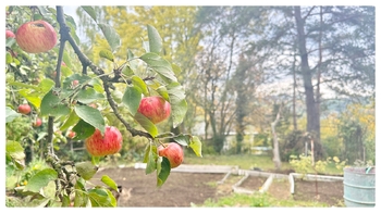 Prodej chaty / chalupy 18 m², Bystřany