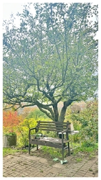 Prodej chaty / chalupy 18 m², Bystřany