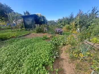 Prodej pozemku 300 m², Praha 5 - Košíře