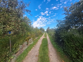 Prodej pozemku 300 m², Praha 5 - Košíře