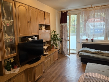 Obývací pokoj - Prodej bytu 2+1 v družstevním vlastnictví 63 m², Krupka