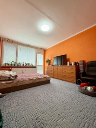 Prodej bytu 3+1 v družstevním vlastnictví 73 m², Bílina