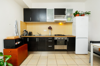 Prodej bytu 2+kk v osobním vlastnictví 48 m², Praha 3 - Vinohrady