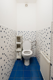 Prodej bytu 2+kk v osobním vlastnictví 48 m², Praha 3 - Vinohrady