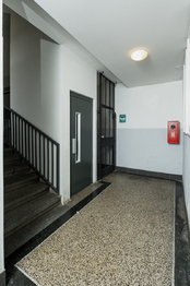 Prodej bytu 2+kk v osobním vlastnictví 48 m², Praha 3 - Vinohrady