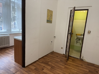 Pronájem bytu 1+1 v osobním vlastnictví 47 m², Děčín