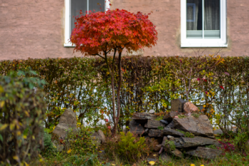 Prodej bytu 3+kk v osobním vlastnictví 68 m², Litvínov