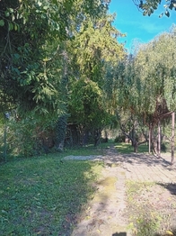 Prodej domu 300 m², Olšany u Prostějova