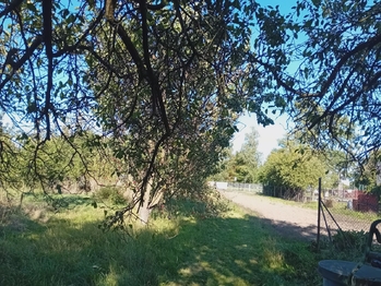 Prodej domu 300 m², Olšany u Prostějova