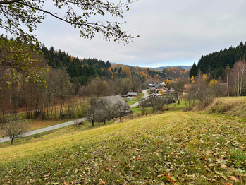 Prodej pozemku 1900 m², Orličky