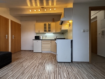 Pronájem bytu 2+kk v osobním vlastnictví 33 m², České Budějovice