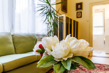 Prodej bytu 4+1 v osobním vlastnictví 217 m², Praha 7 - Holešovice