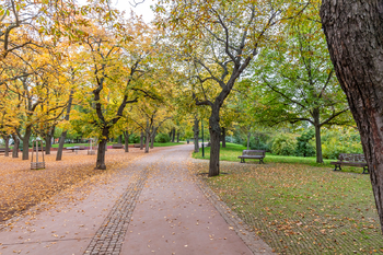 Prodej bytu 4+1 v osobním vlastnictví 217 m², Praha 7 - Holešovice