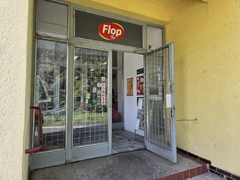 Prodej obchodních prostor 380 m², Tlumačov