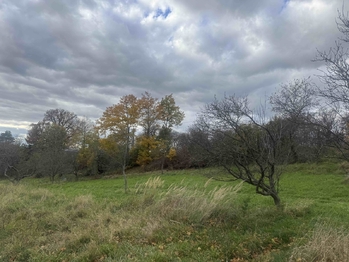 Prodej pozemku 8864 m², Zlín