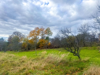 Prodej pozemku 8864 m², Zlín