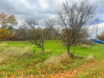 Prodej pozemku 8864 m², Zlín