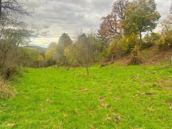 Prodej pozemku 8864 m², Zlín