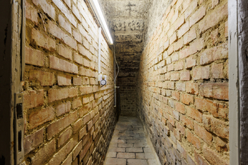 Pronájem bytu 1+kk v osobním vlastnictví 17 m², Praha 3 - Žižkov