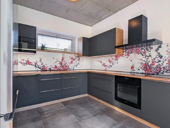 Prodej domu 195 m², Vítkovice