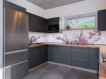 Prodej domu 195 m², Vítkovice