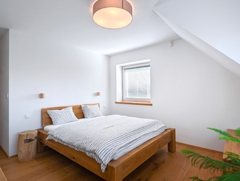 Prodej domu 195 m², Vítkovice