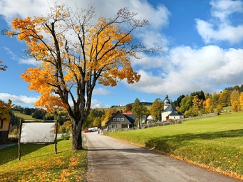 Prodej domu 195 m², Vítkovice