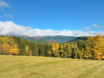 Prodej domu 195 m², Vítkovice