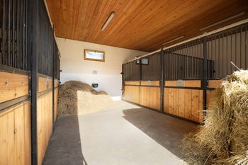 Prodej domu 97 m², Dětmarovice