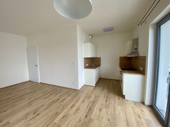 Pronájem bytu 2+kk v osobním vlastnictví 51 m², Plzeň