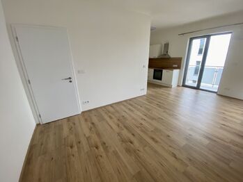 Pronájem bytu 2+kk v osobním vlastnictví 51 m², Plzeň