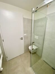 Pronájem bytu 2+kk v osobním vlastnictví 51 m², Plzeň