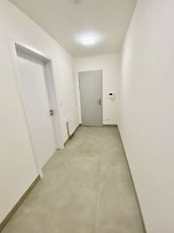 Pronájem bytu 2+kk v osobním vlastnictví 51 m², Plzeň