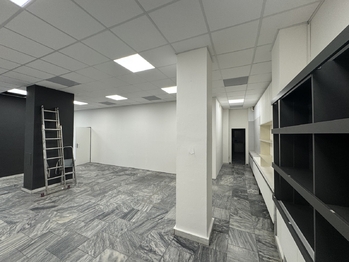 Pronájem skladovacích prostor 199 m², Brno