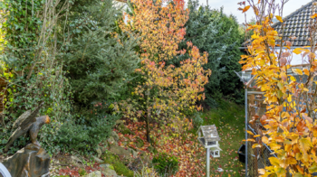 Prodej domu 180 m², Šimonovice